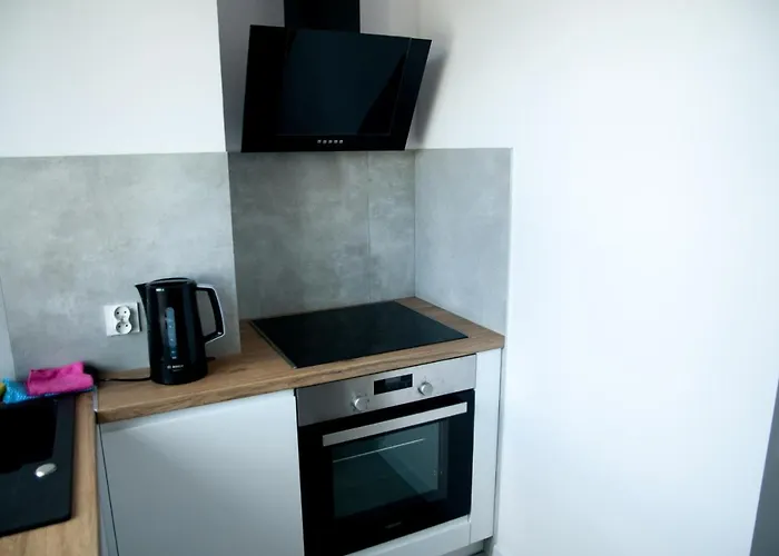 公寓 Wiesio 格丁尼亚